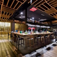 BARRA-02B-WIJ_9233 BARRA-02B-WIJ_9233